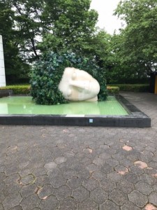 image1 (2)